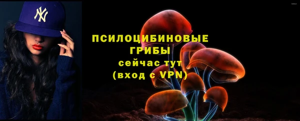 мескалин Арсеньев