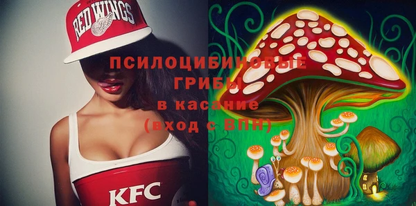хмурый Армянск