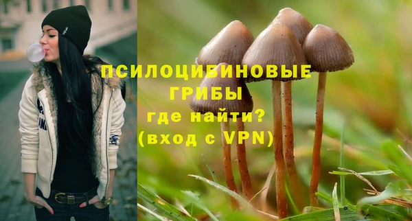 мескалин Арсеньев